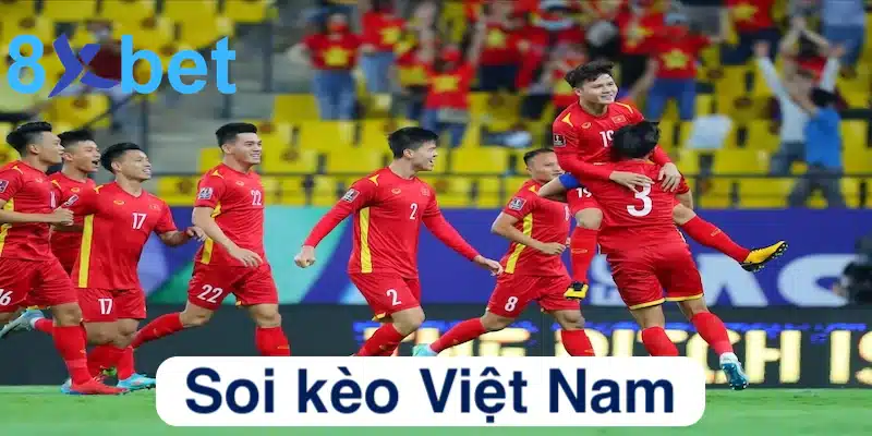 Khám phá tổng quan những điều cần biết về soi kèo Việt Nam